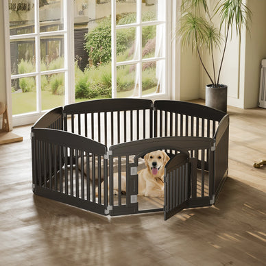 Step Into Total Pet Safety and Peace